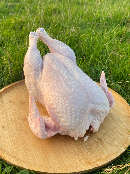 Whole Pasture-Raised Chicken